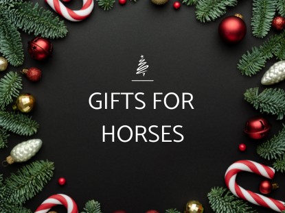 Gifts for your Horse