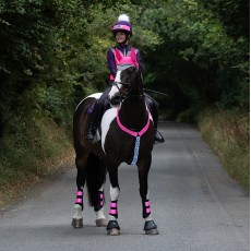 Woof Wear High Viz Neck Band (Pink)