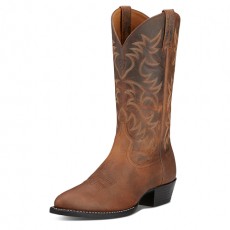 Ariat AW25 Footwear Ariat AW25 Footwear