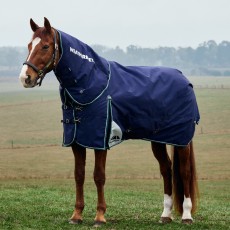 Weatherbeeta Comfitec Plus Dynamic Detach-a-Neck Turnout 100g (Navy/Forest Green) Weatherbeeta Comfitec Plus Dynamic Detach-a-Neck Turnout 100g (Navy/Forest Green)