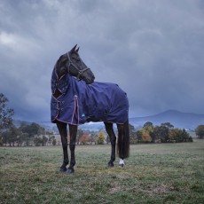 Weatherbeeta Comfitec Essential Turnout Combo 360g (Navy/Burgundy) Weatherbeeta Comfitec Essential Turnout Combo 360g (Navy/Burgundy)