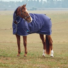 Weatherbeeta Comfitec Tyro Turnout Combo 220g (Navy/Charcoal) Weatherbeeta Comfitec Tyro Turnout Combo 220g (Navy/Charcoal)