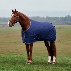 Weatherbeeta Comfitec Tyro Standard Neck Turnout 220g (Navy/Charcoal) Weatherbeeta Comfitec Tyro Standard Neck Turnout 220g (Navy/Charcoal)