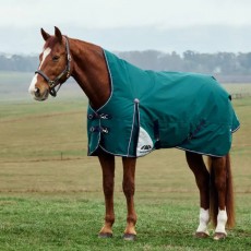 Weatherbeeta Comfitec Plus Dynamic High Neck Turnout 100g (Forest Green/Navy) Weatherbeeta Comfitec Plus Dynamic High Neck Turnout 100g (Forest Green/Navy)