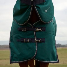 Weatherbeeta ComfiTec Plus Dynamic Detach a Neck 100g Turnout (Forest Green/Navy) Weatherbeeta ComfiTec Plus Dynamic Detach a Neck 100g Turnout (Forest Green/Navy)