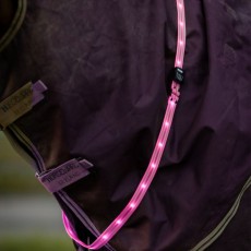 Woof Wear LED Sash (Hi Vis Pink) Woof Wear LED Sash (Hi Vis Pink)