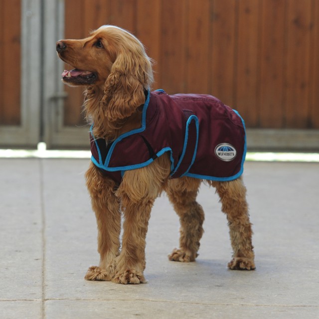 Weatherbeeta windbreaker clearance dog coat